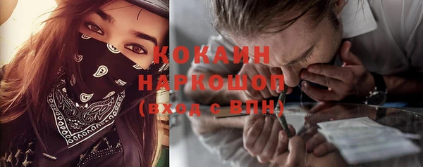 шишки Сафоново