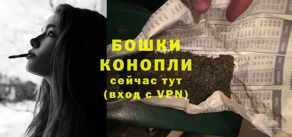 шишки Сафоново