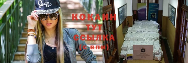 шишки Сафоново